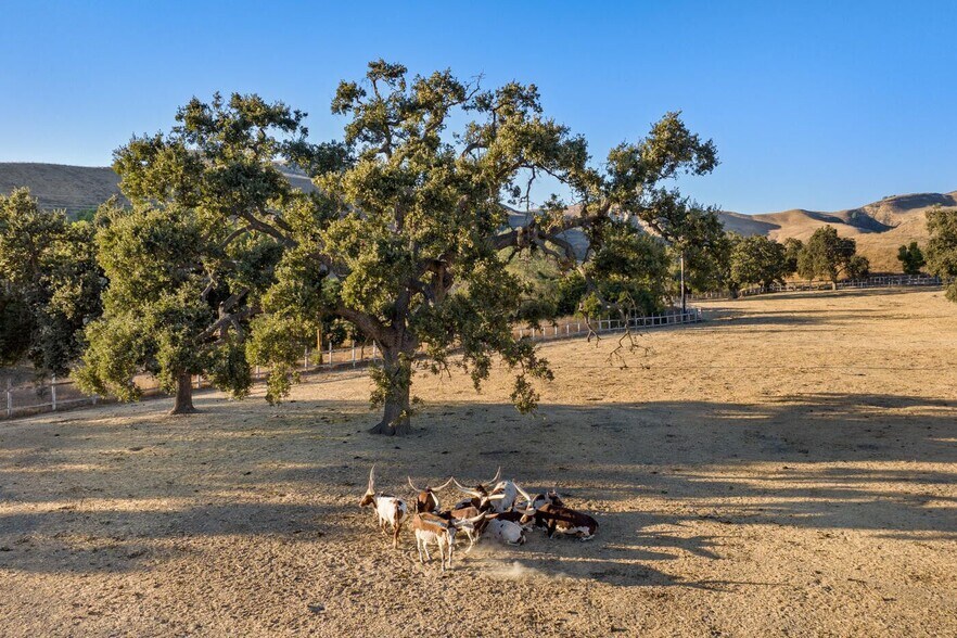 More Photos Of 7351 Happy Canyon Rd, Santa Ynez Land For Sale