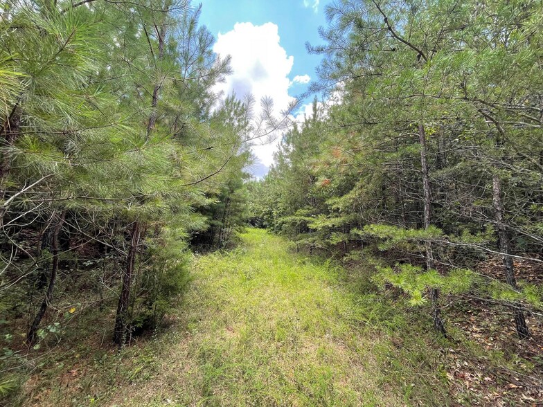 More Photos Of 23034 Highway 25, Columbiana Land For Sale