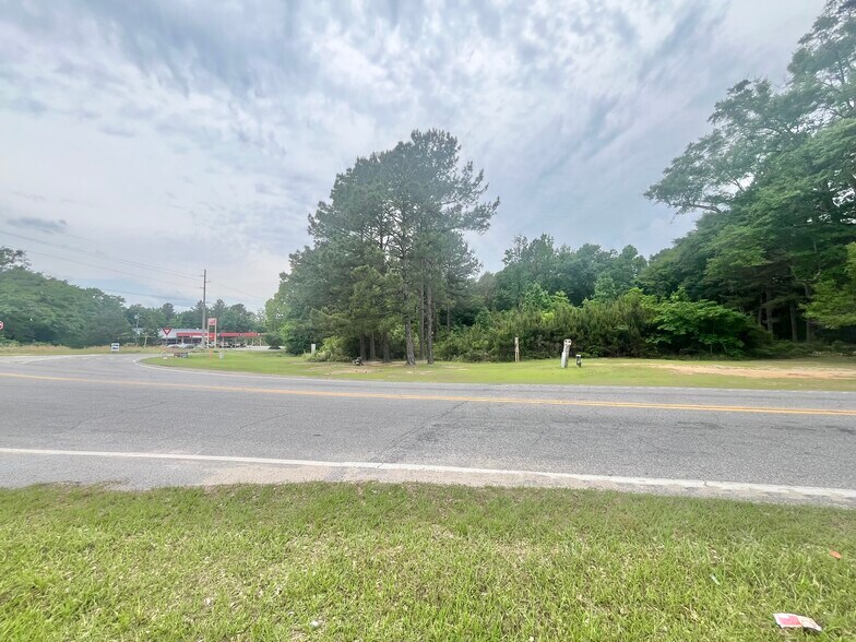 More Photos Of 23940 Co Rd 47 Rd, Perdido Land For Sale