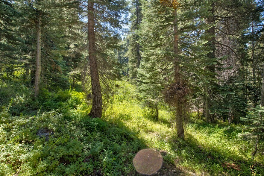 More Photos Of 65745 Big Meadows Road, Kings Canyon National Pk Land For Sale