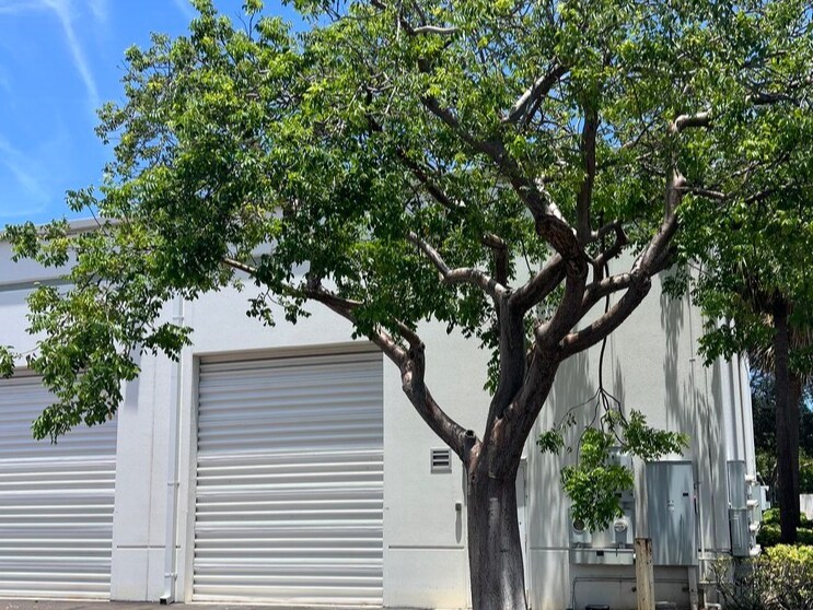 More Photos Of 2721-2737 NW 19th St, Pompano Beach Showroom For Sale