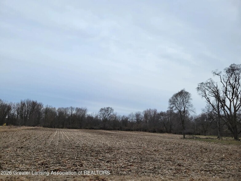 More Photos Of 0 M21 Hwy, Ovid Land For Sale