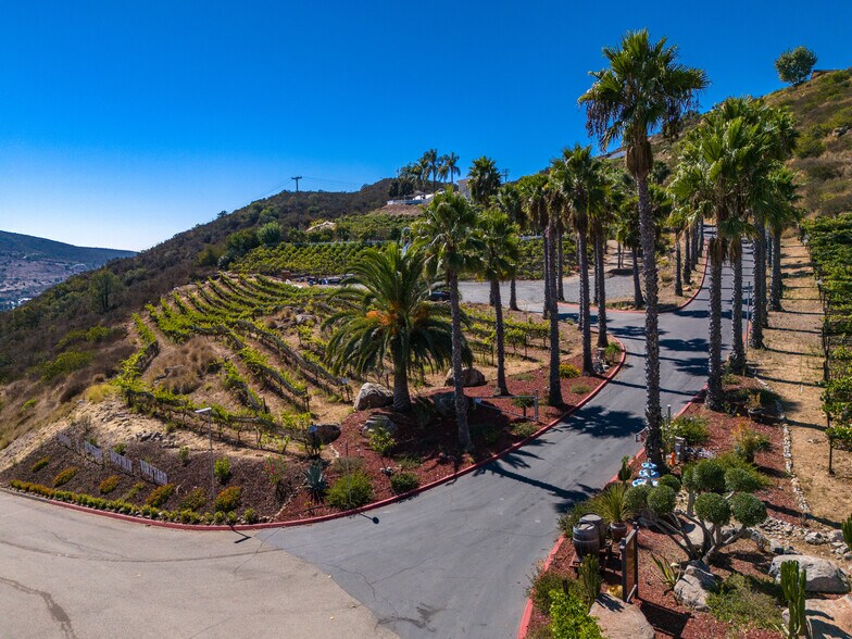 More Photos Of 2286 Sunshine Mountain Rd, San Marcos Winery Vineyard For Sale