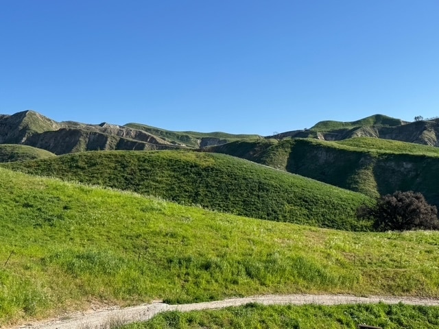 Primary Photo Of 31029 Hasley Canyon Rd, Castaic Land For Sale