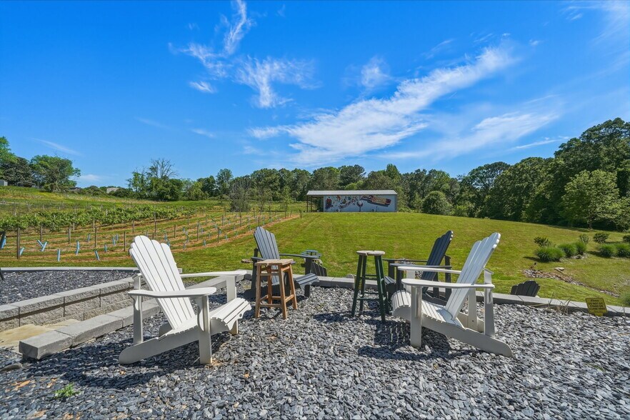 More Photos Of 2317 GA-382, Ellijay Winery Vineyard For Sale