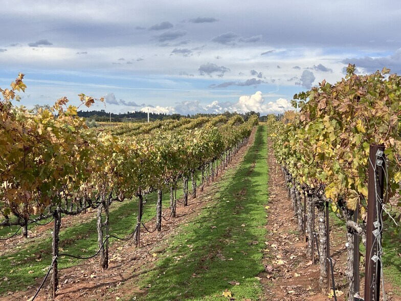 More Photos Of 21365 Shenandoah School Rd, Plymouth Winery Vineyard For Sale