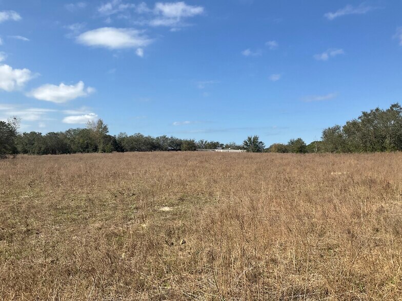 More Photos Of 11323 County Line Rd, Spring Hill Land For Sale