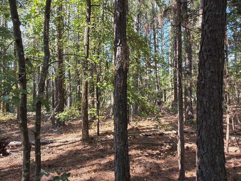 Primary Photo Of 107 Popham rd, Taylorsville Land For Sale