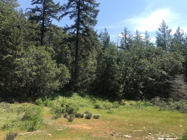 More Photos Of Canyon Creek Drive -1 @ Canyon Way, Colfax Land For Sale