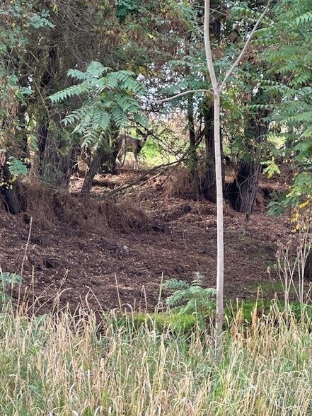 More Photos Of tbd Bunchgrass Lane Walla Walla County, Walla Walla Land For Sale