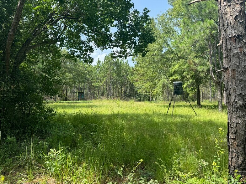 Primary Photo Of 0 Nokomis Road, Walnut Hill Land For Sale