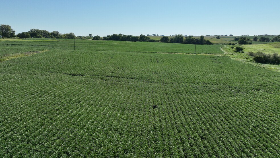 More Photos Of Tract 4 IA-92 hwy, Ainsworth Land For Sale