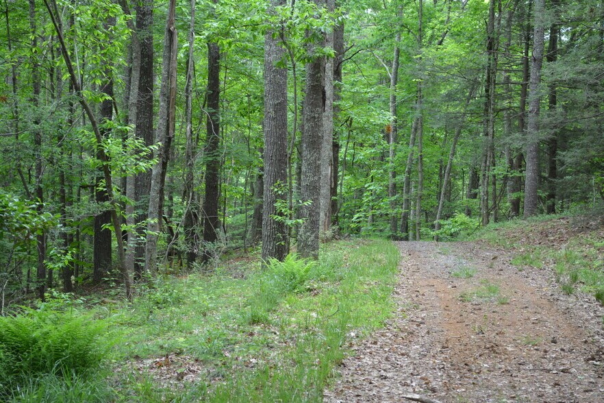 More Photos Of 6421 Highway 91 N, Laurel Bloomery Warehouse For Sale