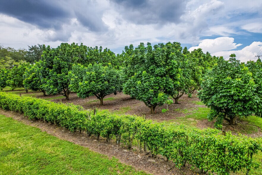 More Photos Of SW 236th Ave, Homestead Land For Sale