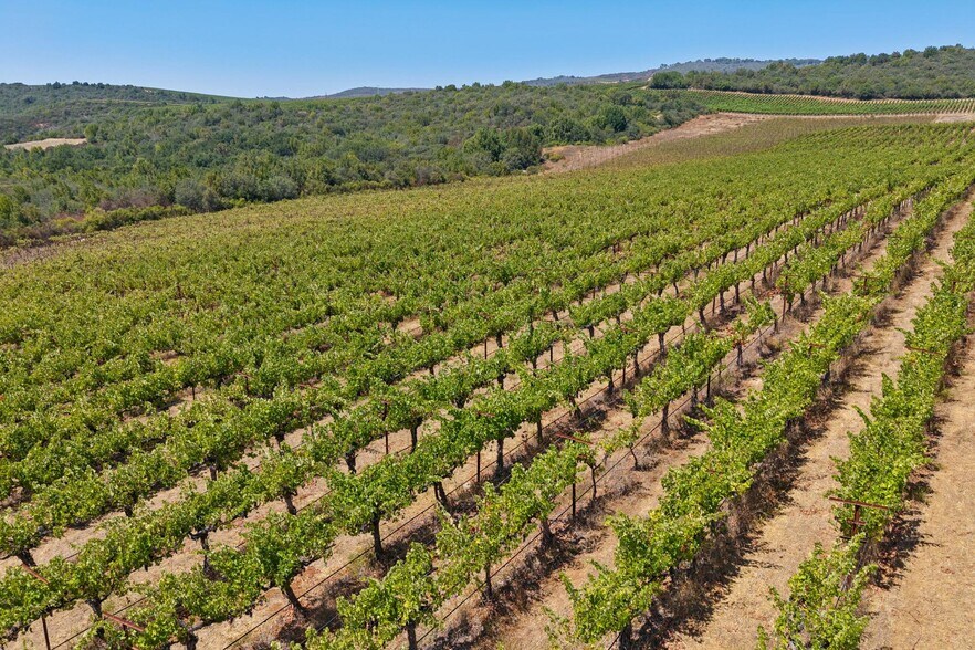 More Photos Of 3585 Soda Canyon Rd, Napa Land For Sale