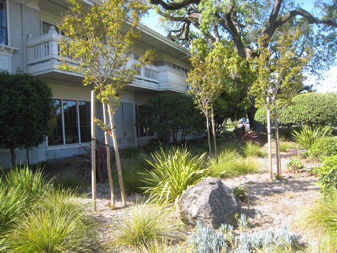 More Photos Of 250 Bel Marin Keys Blvd, Novato Medical For Sale