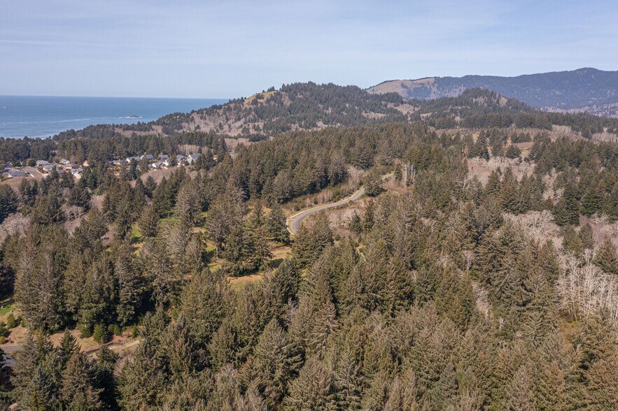 More Photos Of 0 NE Devil's Lake Blvd, Lincoln City Land For Sale