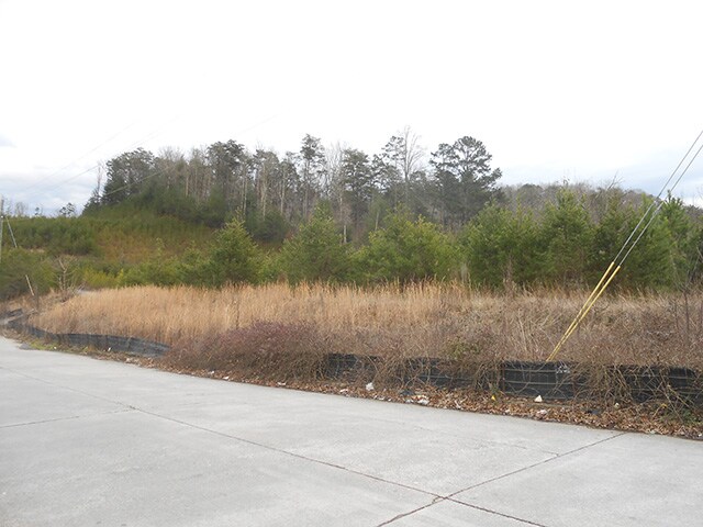More Photos Of Yukon Rd, East Ellijay Land For Sale