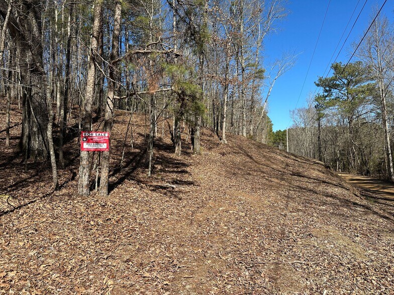 More Photos Of 3472 Prior Station Rd, Cedartown Land For Sale