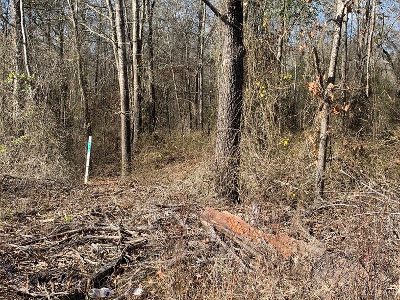 More Photos Of Interstate 20, Lindale Land For Sale