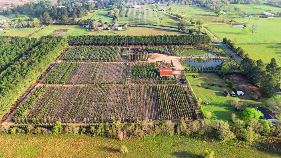 More Photos Of 28287 Hegar Rd, Hockley Land For Sale