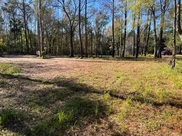 More Photos Of 169 Hutchinson Rd, Jacksonville Land For Sale