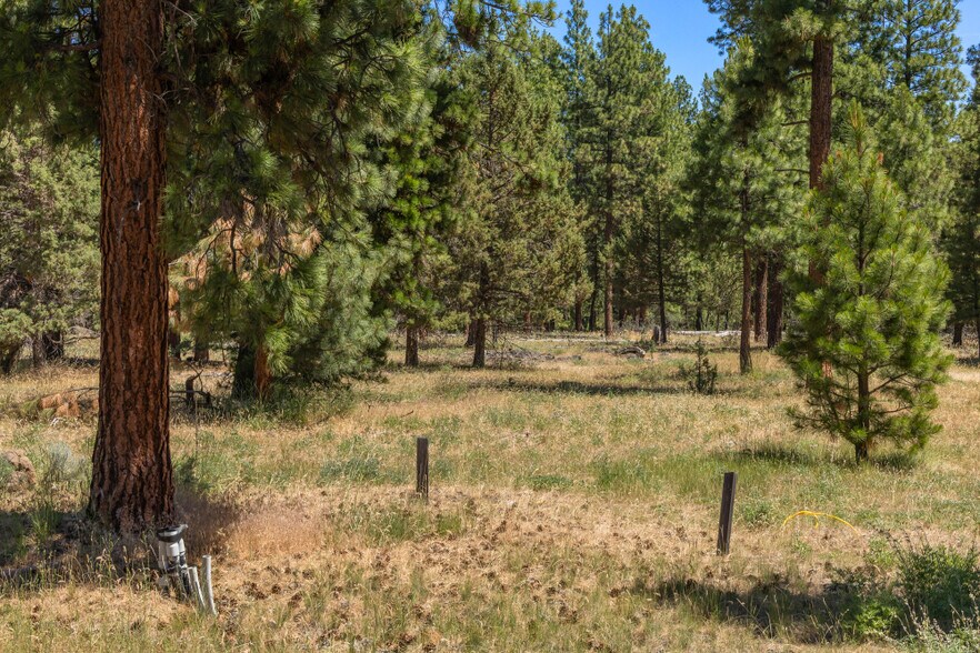 More Photos Of 0 Blue Wing Street, Keno Land For Sale