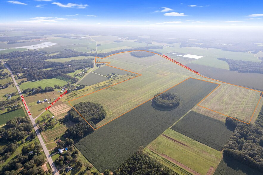 More Photos Of 5700 Pine Forest Rd, Walnut Hill Land For Sale