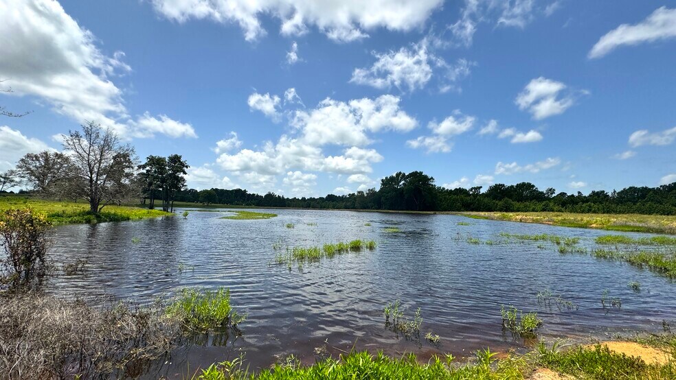 More Photos Of 13530 FM 773, Ben Wheeler Land For Sale