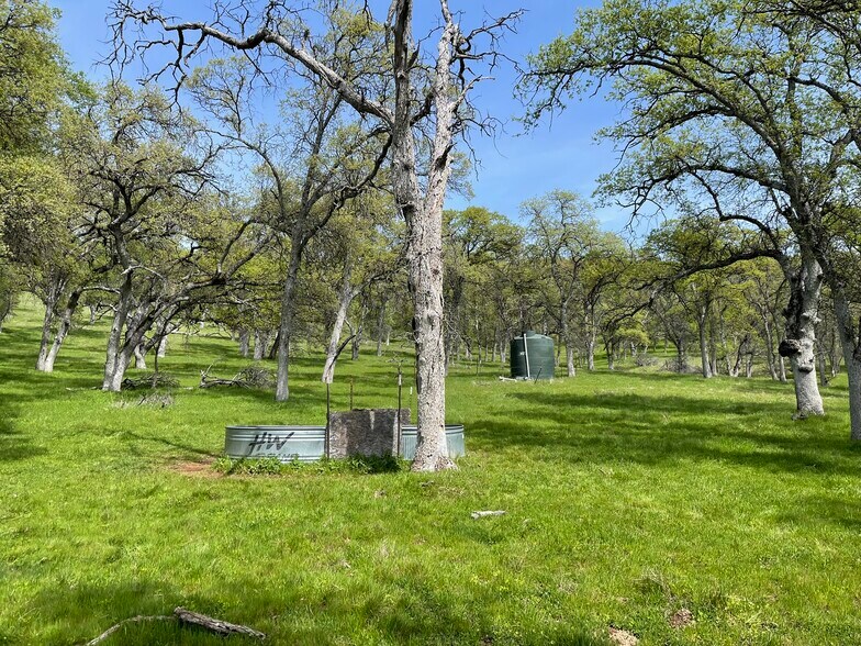 More Photos Of 5877 State 49 hwy, Mariposa Land For Sale