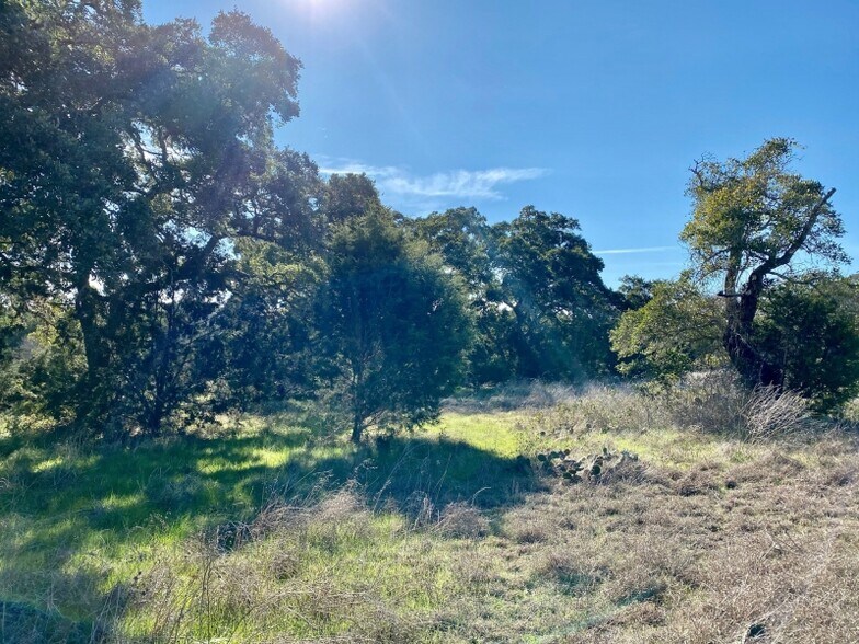 More Photos Of RR 12 @ 32, Wimberley Land For Sale