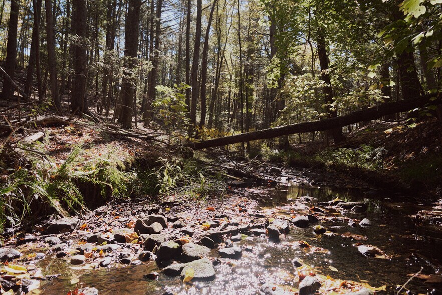 More Photos Of 1296 Flatbush Rd, Kingston Land For Sale