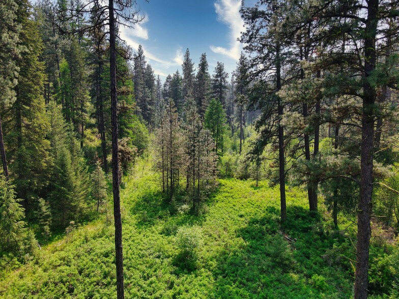 More Photos Of 45XXX Devore Rd, Davenport Land For Sale