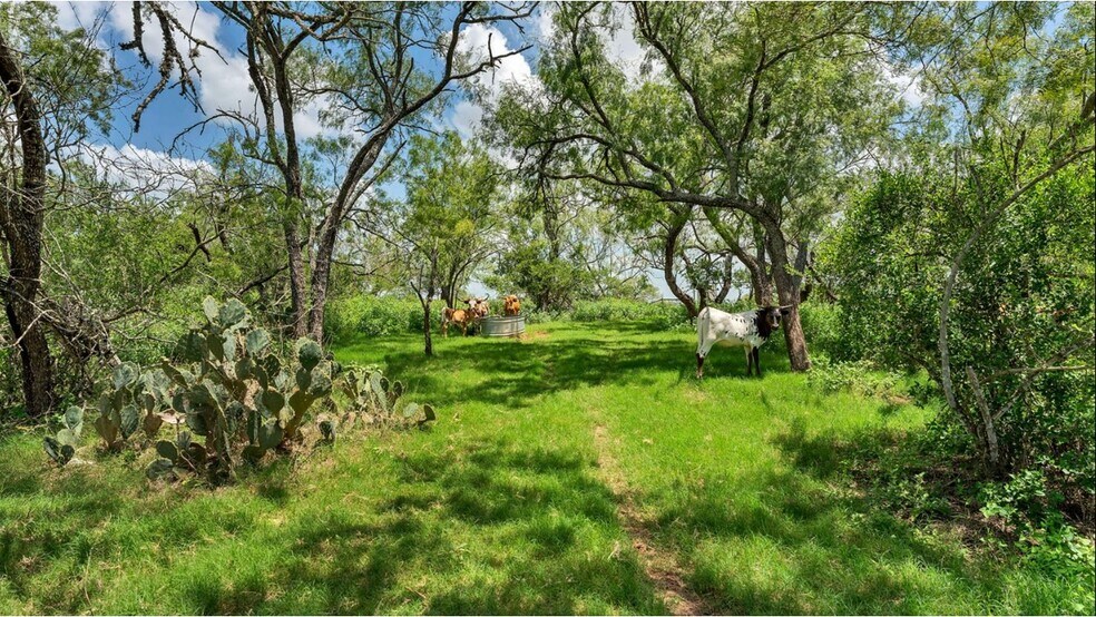 More Photos Of 209 FM 1344, Floresville Land For Sale