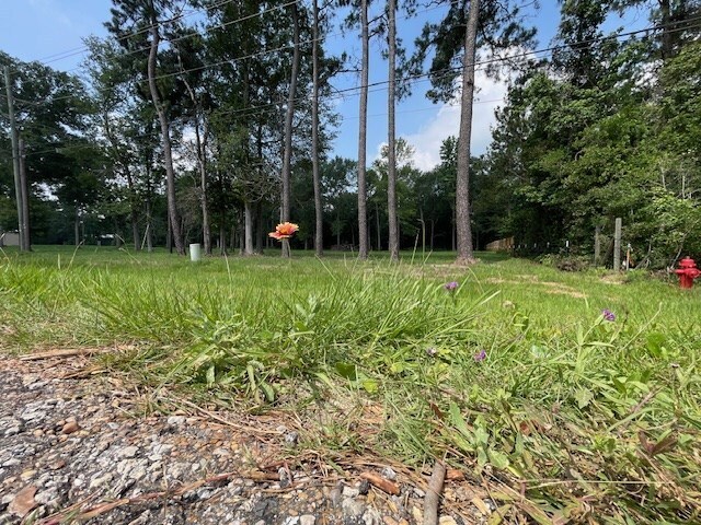 More Photos Of 4106 Hwy 69 S Hwy, Lumberton Land For Sale