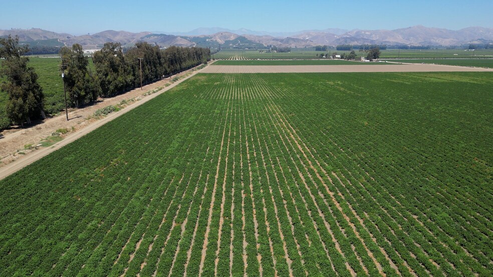 More Photos Of 150 Los Angeles, Somis Land For Sale