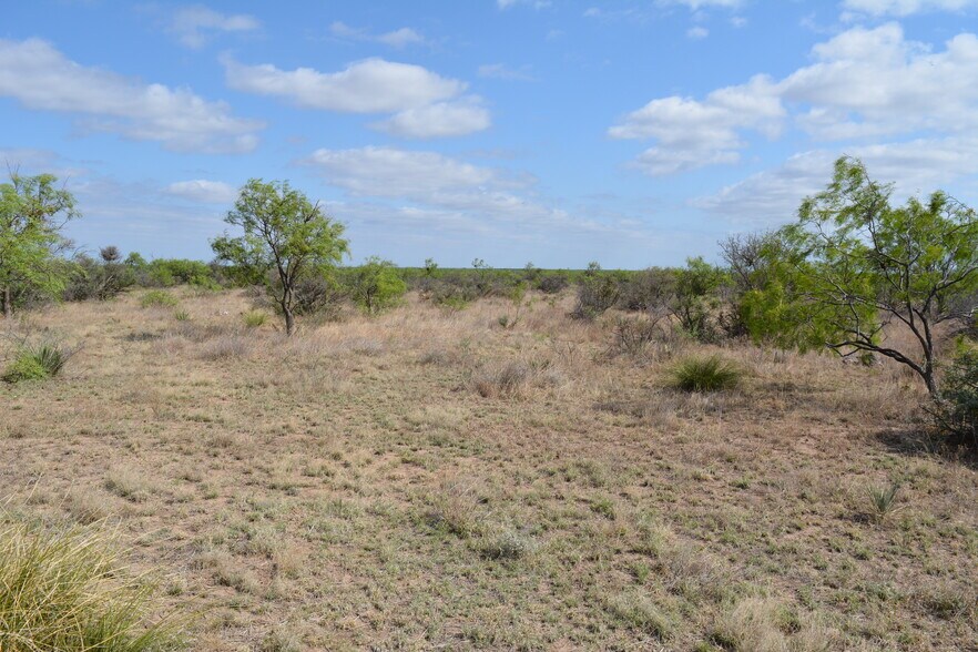 More Photos Of CR 1329, Paint Rock Land For Sale