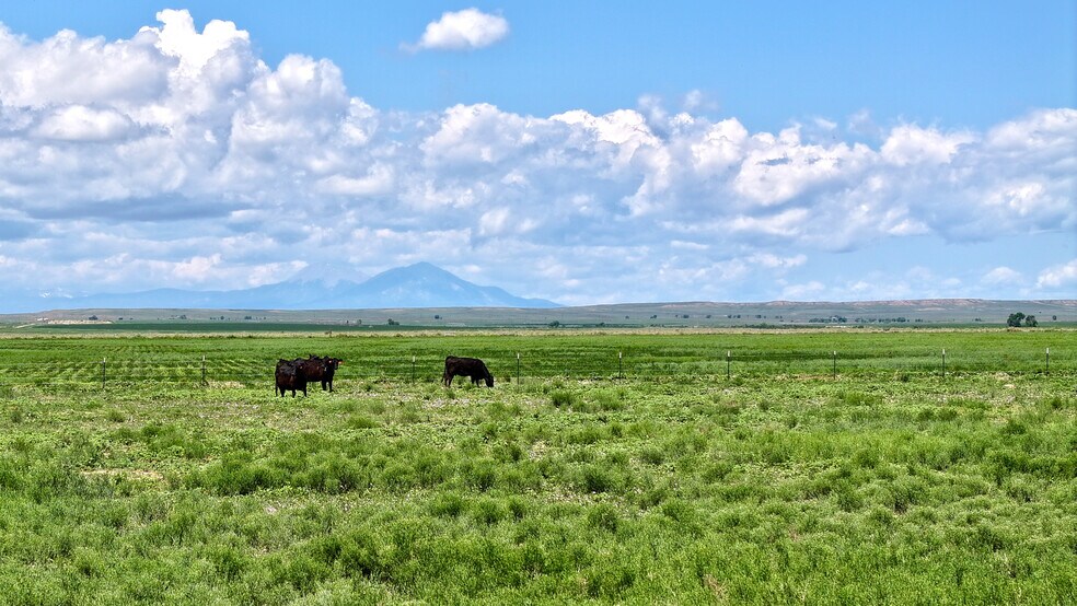 More Photos Of 48999 County Road 48, Model Land For Sale