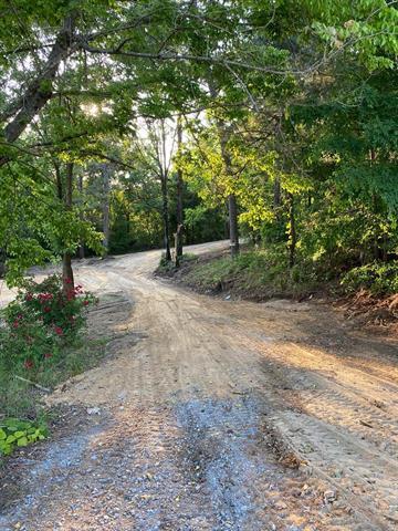 More Photos Of 14959 AL Highway 157, Vinemont Land For Sale