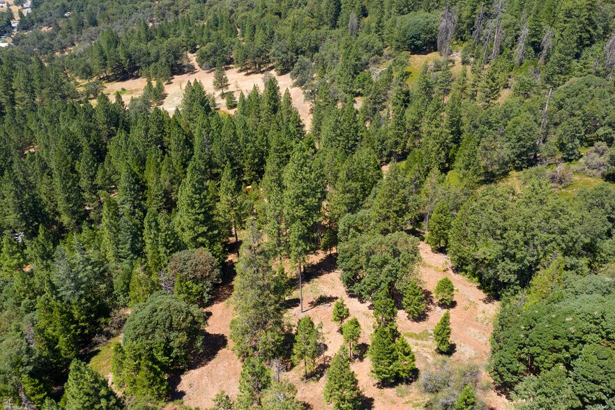 25755 State Highway 88, Pioneer, CA 95666 Land For Sale