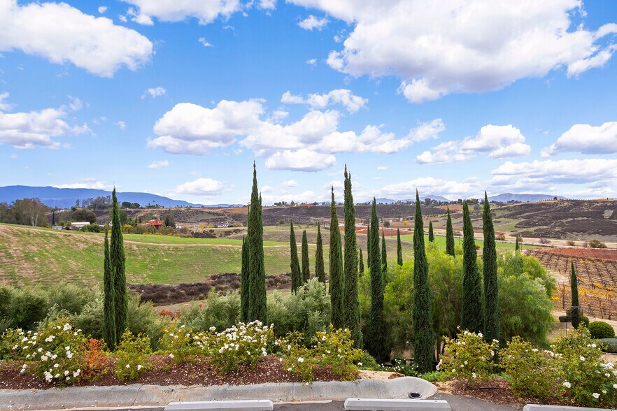 More Photos Of 40620 Calle Contento, Temecula Winery Vineyard For Sale