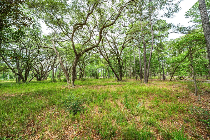 More Photos Of 0 King Rail Lane, Edisto Island Land For Sale