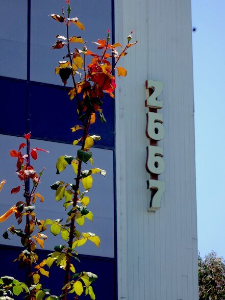 More Photos Of 2667 Camino del Rio S, San Diego Office For Lease