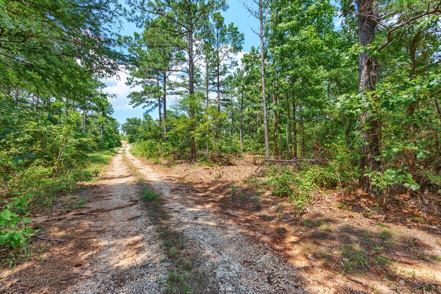 More Photos Of TBD State Hwy 64, Tyler Land For Sale