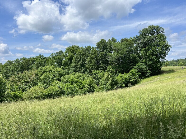 More Photos Of 1566 Preston Ridge Rd, Mulberry Land For Sale