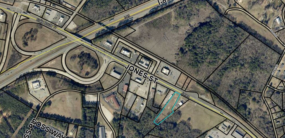 Primary Photo Of GA Hwy 17, Lavonia Land For Sale