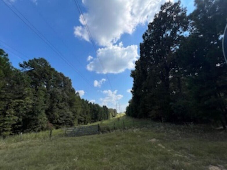 More Photos Of 21805 U.S. HWY 69S hwy, Bullard Land For Sale