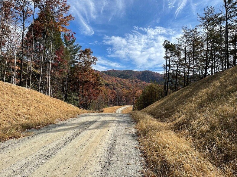 More Photos Of 111 Butler Mountain Rd, Murphy Land For Sale