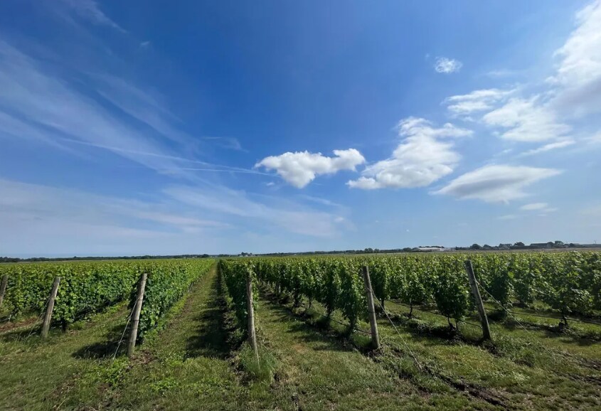 More Photos Of 6094 Sound Ave, Jamesport Land For Sale