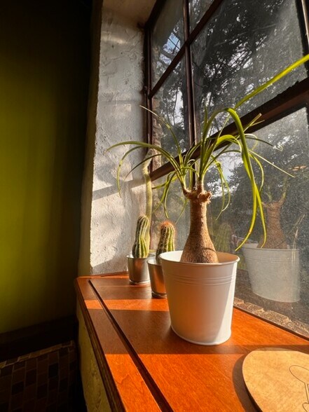 More Photos Of 12-18 W Willow Grove Ave, Philadelphia Self Storage For Lease